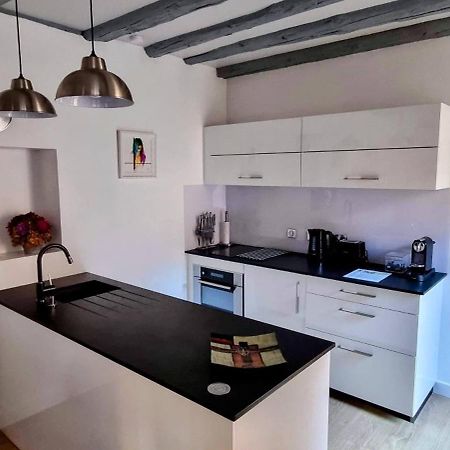 Appartement De Charme Au Coeur De La Vieille Ville Annecy Zewnętrze zdjęcie